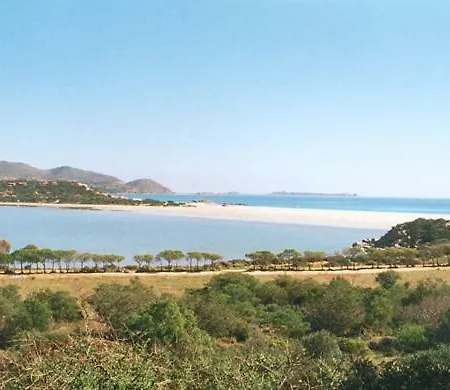 Passudedantza * Simius